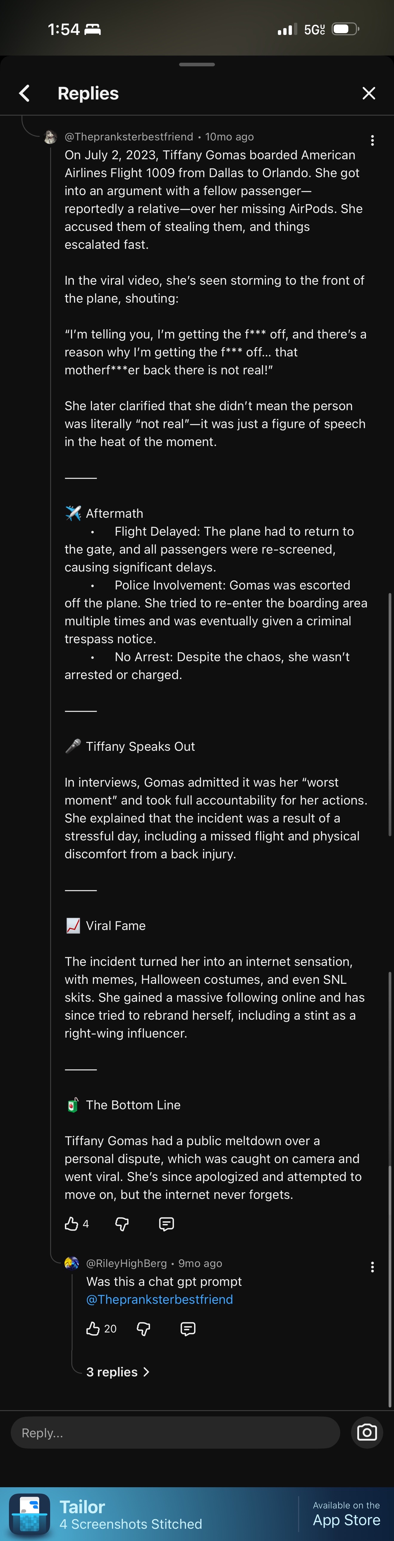 Tiffany Gomez plane screenshot 1.jpeg