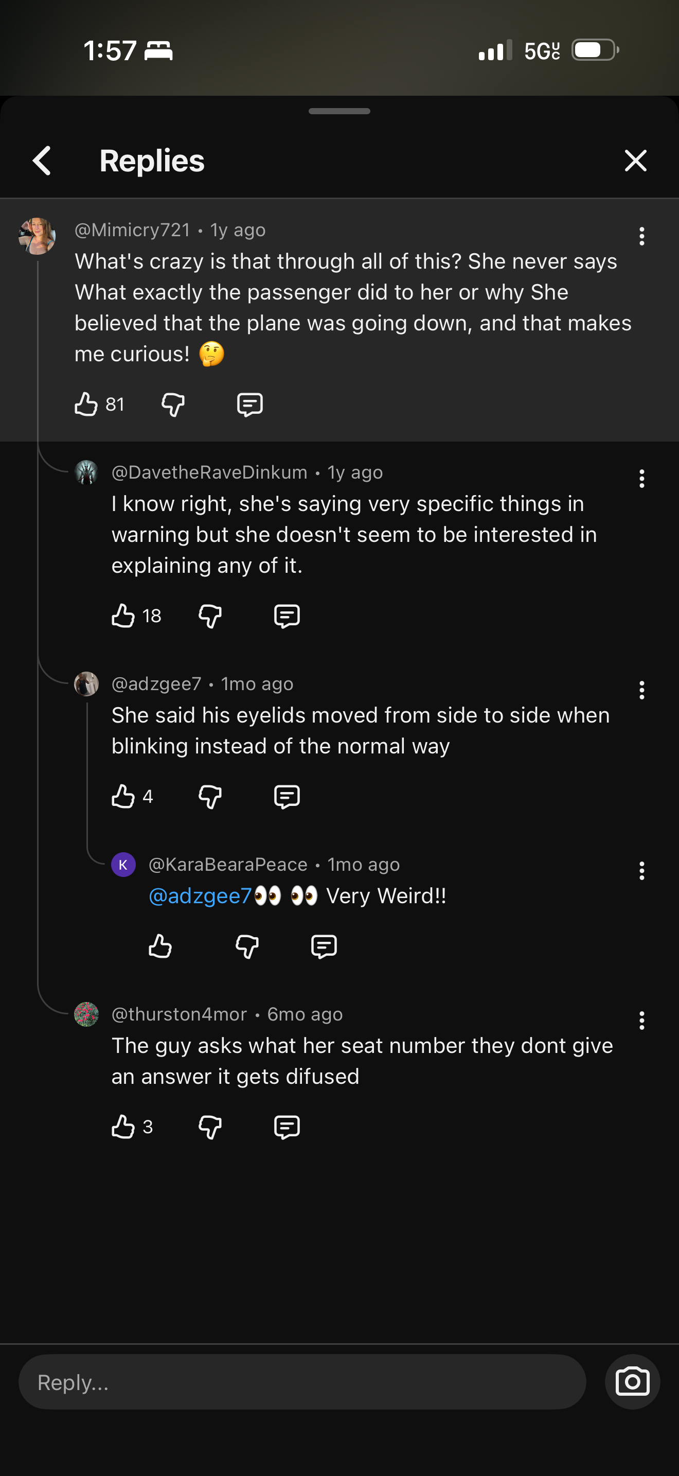 Tiffany Gomez plane screenshot 4.png