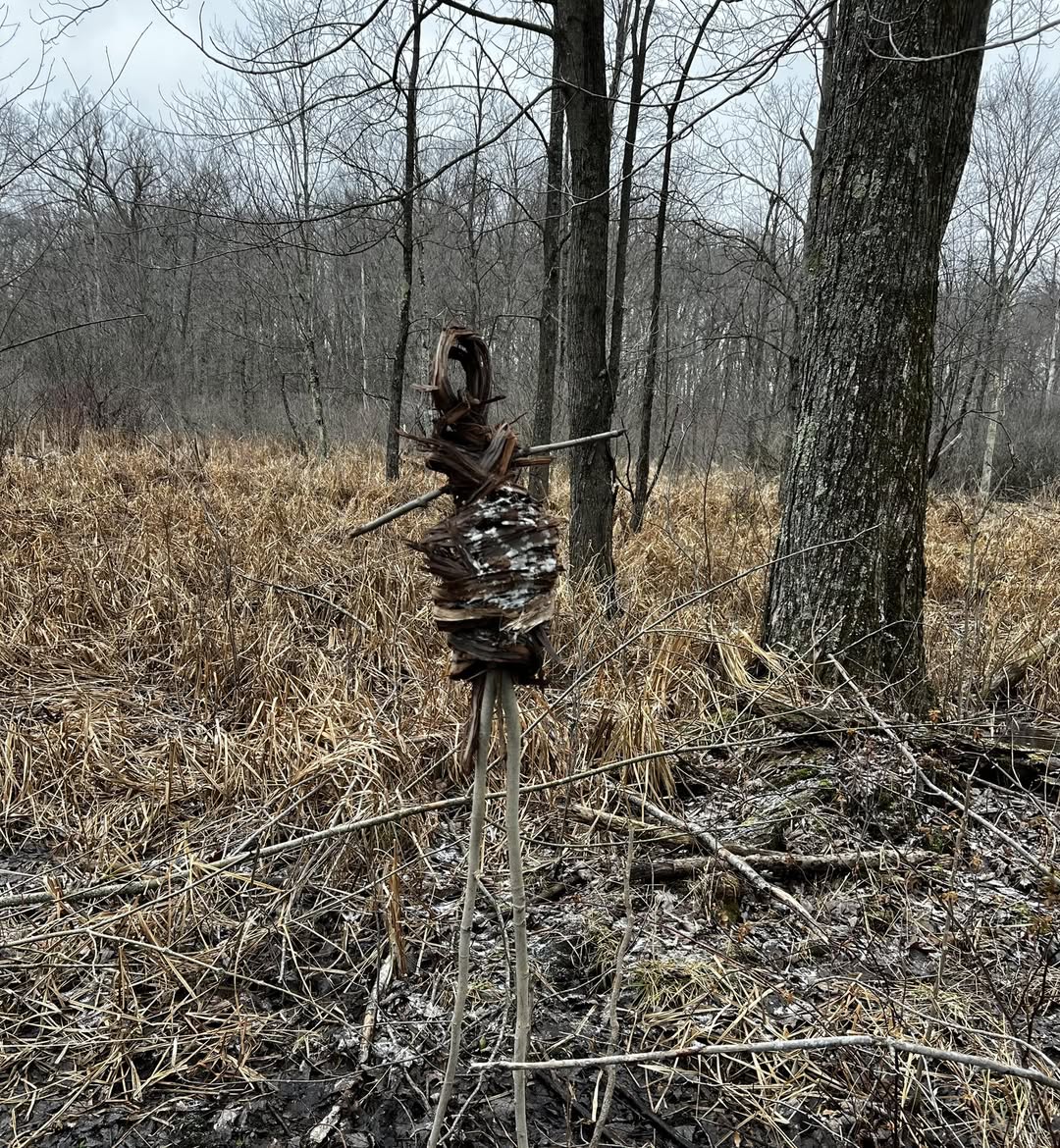 Post in The Unexplained by Josh Shade - deer ribcage statue.jpg
